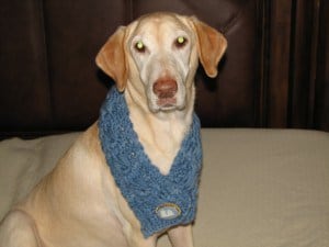 Blue Estonian stitch cowl on Sydney