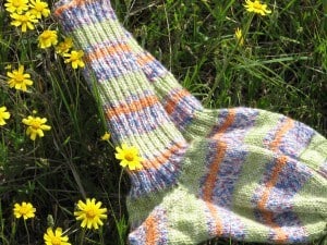 striped socks striped socks