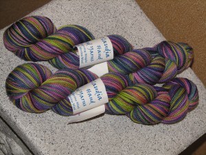 Claudia Hand-painted Yarn