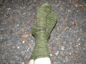 Lichen Socks