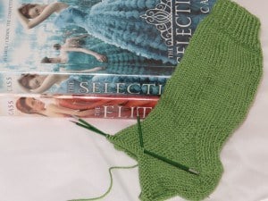 The Selection & The Elite & the sock The Selection, The Elite, the sock