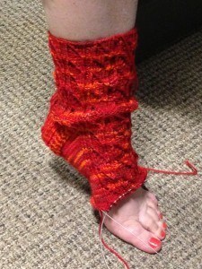 Polyommatus argiolus Sock by Hunter Hammersen Polyommatus argiolus Sock by Hunter Hammersen