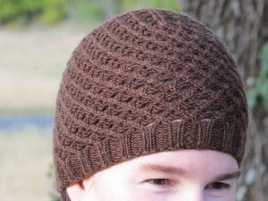 Polyommatus corydon Hat by Hunter Hammersen 