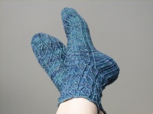 Polyommatus argiolus Sock by Hunter Hammersen Polyommatus argiolus Sock by Hunter Hammersen
