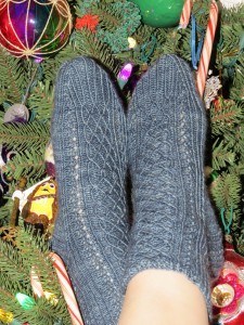 Delias eucharis Sock 