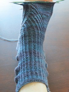 Beach Plum socks