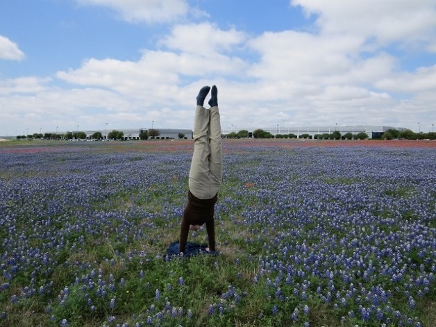 Owl Sweater Handstand