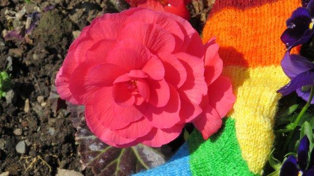 flower and knit sock